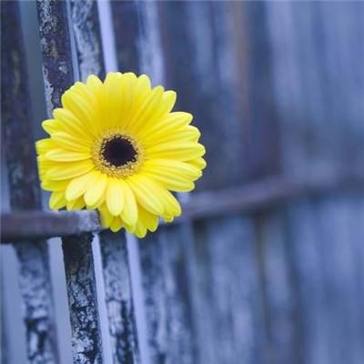 万博全站(Manbetx)