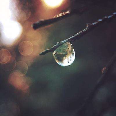 九万彩票安卓软件手机app下载截图