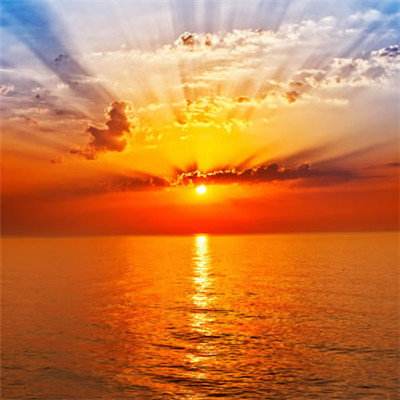 乐鱼娱乐app手机app下载